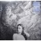 Agnes Obel – The Meaning Of Flowers (Vinyl)