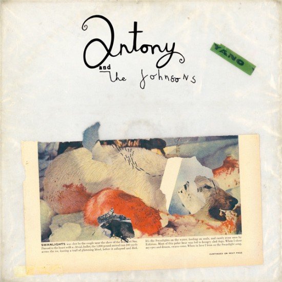 Antony & The Johnsons ‎– Swanlights (CD)