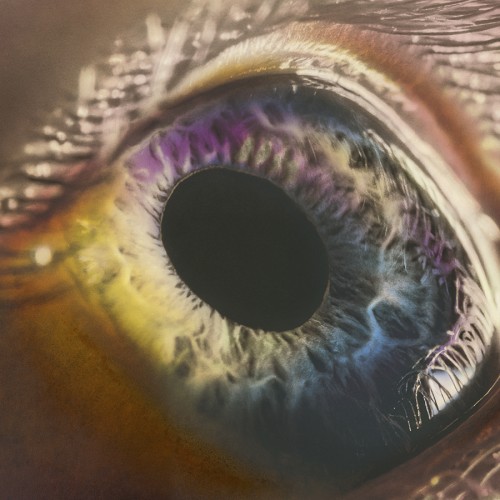 Arcade Fire - We (CD)