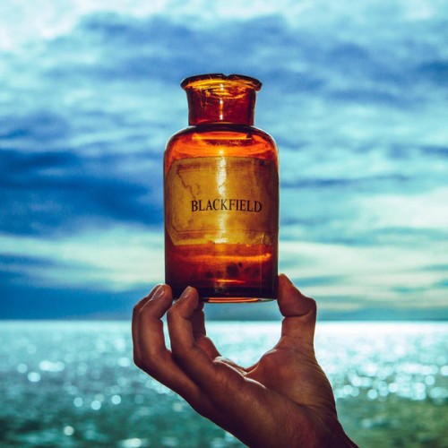 Blackfield ‎– V (Vinyl)