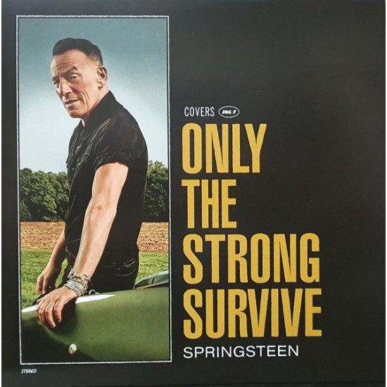 Bruce Springsteen - Only The Strong Survive (Vinyl)