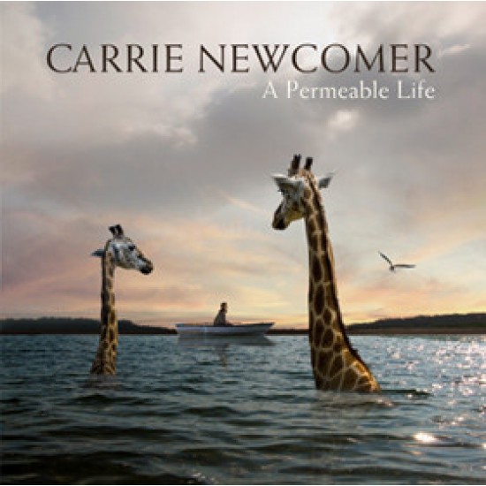 Carrie Newcomer ‎– A Permeable Life (Vinyl)