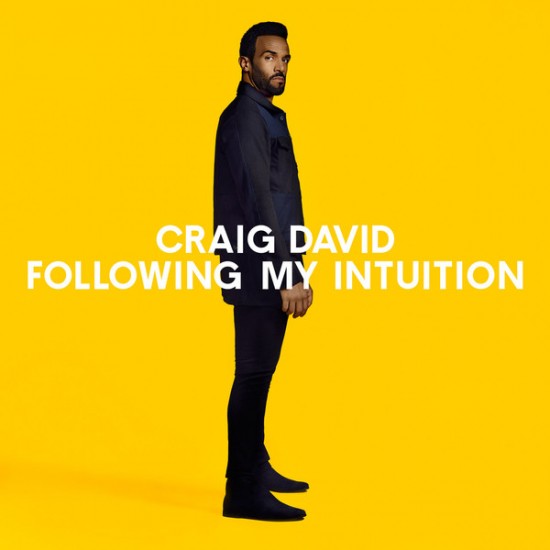 Craig David ‎– Following My Intuition (Vinyl)