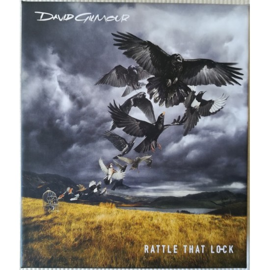 David Gilmour - Rattle That Lock (DVD)