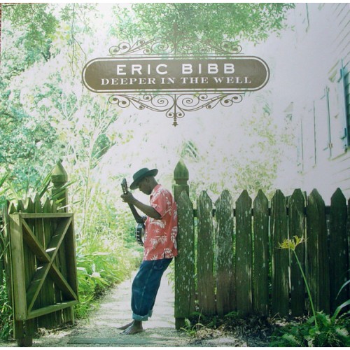 Eric Bibb - Deeper In The Well (Vinyl)