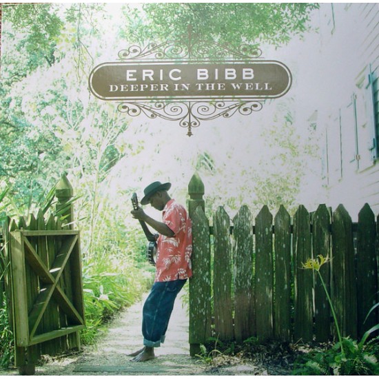 Eric Bibb - Deeper In The Well (Vinyl)