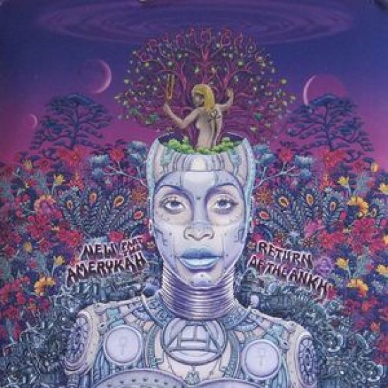 Erykah Badu - New Amerycah Part Two / Return of the Ankh (Vinyl)