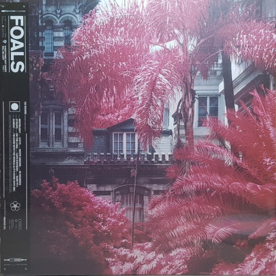 Foals - Everything Not Saved Will Be Lost : Part 1 (Vinyl)