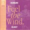 Freddie Hubbard, Art Blakey - Feel The Wind (Vinyl)