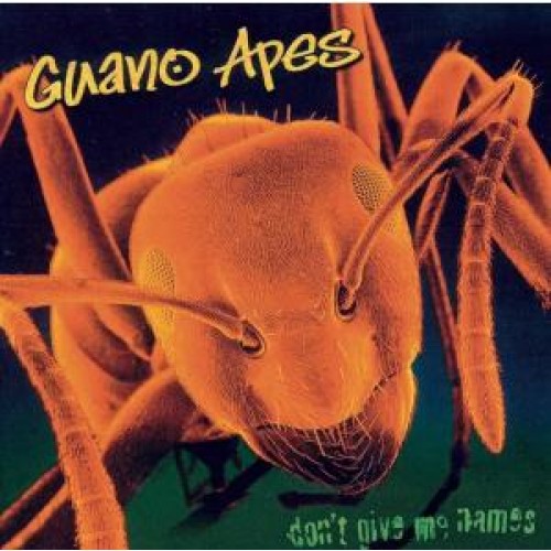 Guano Apes - Don't Give Me Names (Vinyl)