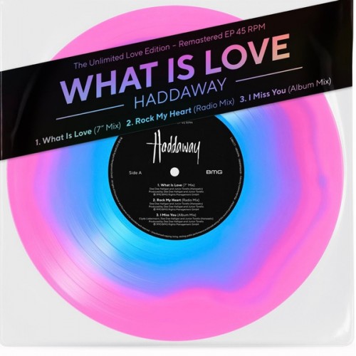 Haddaway - What Is Love (Vinyl)