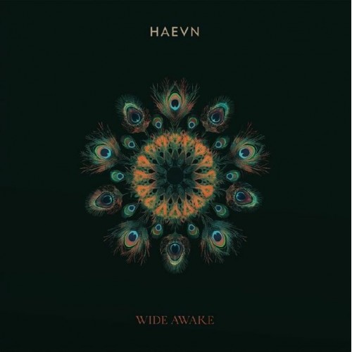 Haevn - Wide Awake (Vinyl)