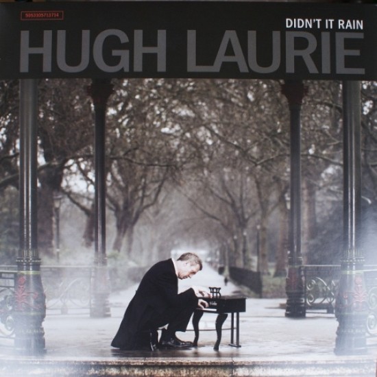 Hugh Laurie - Didn't it rain (Vinyl)