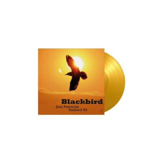 Jaco Pastorius & Rashied Ali - Blackbird (Vinyl)