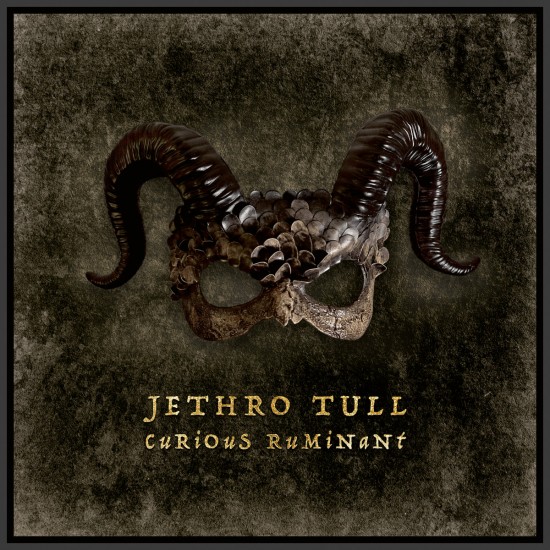 Jethro Tull - Curious Ruminant (CD)