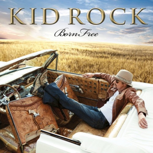 Kid Rock - Born free (Vinyl)