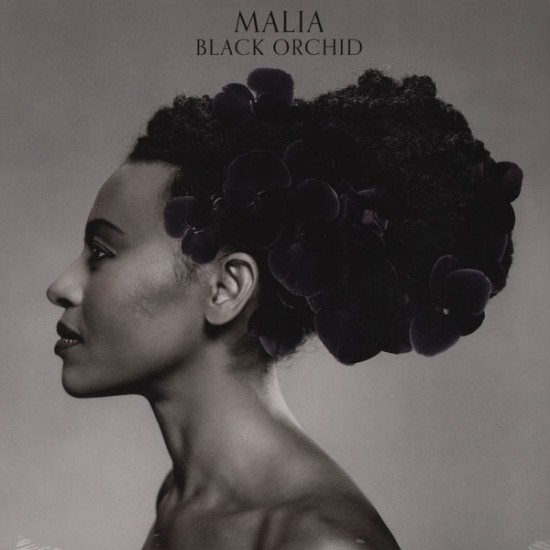 Malia - Black Orchid (Vinyl)