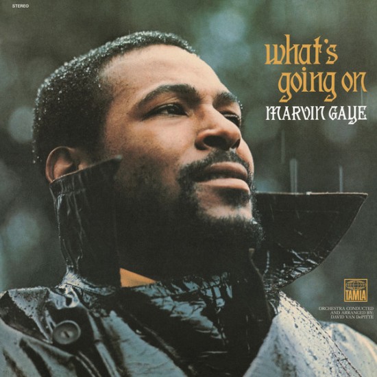 Marvin Gaye - What's Going On (Vinyl)