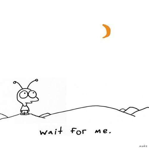 Moby ‎– Wait For Me (CD)