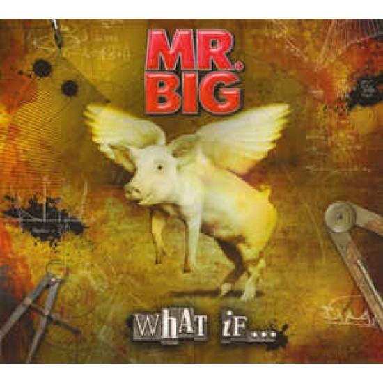 Mr. Big ‎– What If... (CD)