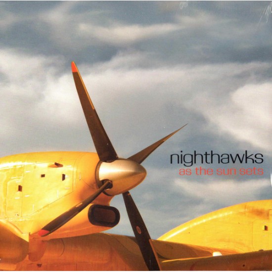 Nighthawks - As The Sun Sets (Vinyl)