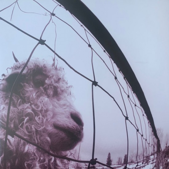 Pearl Jam – Vs. (Vinyl)