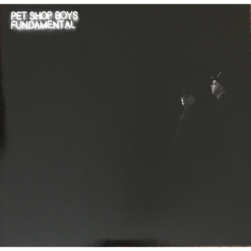 Pet Shop Boys - Fundamental (Vinyl)