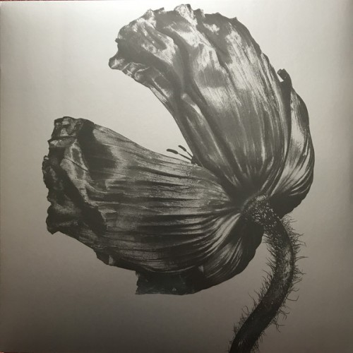 Pet Shop Boys - Release (Vinyl)