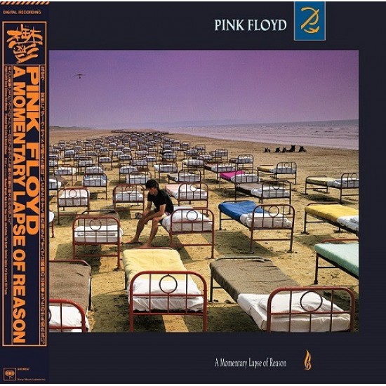 Pink Floyd - A Momentary Lapse Of Reason (CD)