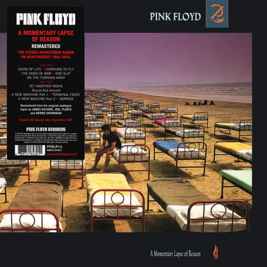 Pink Floyd ‎– A Momentary Lapse Of Reason (Vinyl)