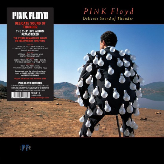 Pink Floyd - Delicate Sound Of Thunder (Vinyl)