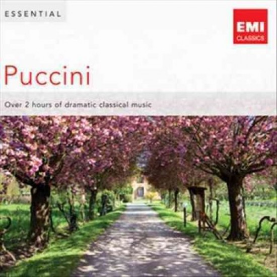 Puccini - Essential (CD)