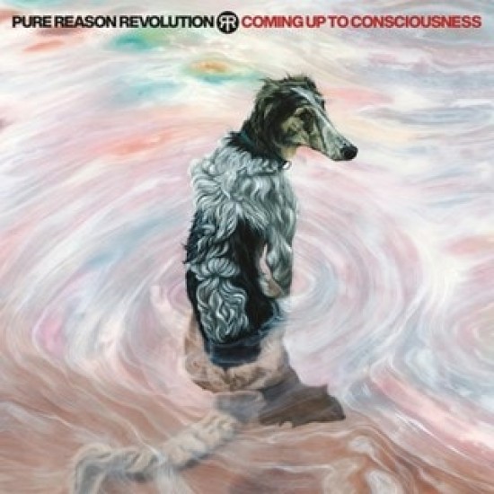 Pure Reason Revolution - Coming Up To Consciousness (CD)