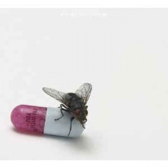 Red Hot Chili Peppers ‎– I'm With You (CD)