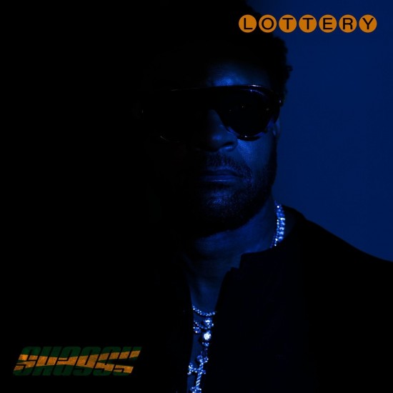 Shaggy – Lottery (Vinyl)