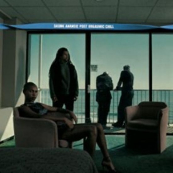 Skunk Anansie - Post Orgasmic Chill (CD) Skunk Anansie - Post Orgasmic Chill (CD)