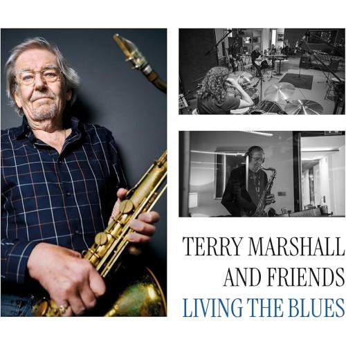 Terry Marshall & Friends - Living The Blues (Vinyl)