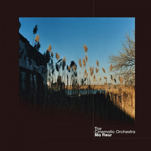 The Cinematic Orchestra - Ma Fleur (Vinyl)