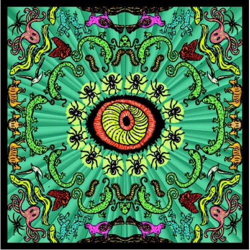 The Handsome Family - Wilderness (Vinyl)