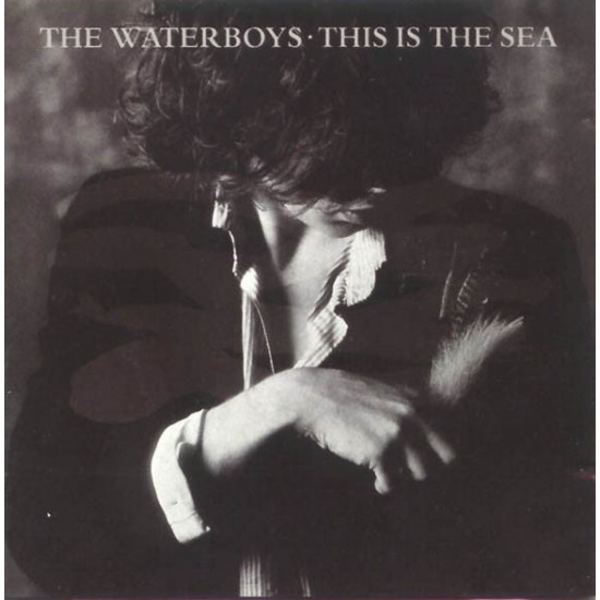 The Waterboys ‎– This Is The Sea (Vinyl)