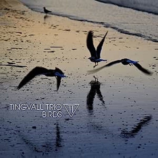 Tingvall Trio - Birds (Vinyl)