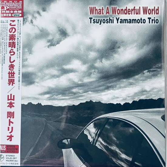 Tsuyoshi Yamamoto Trio - What A Wonderful World (Vinyl)