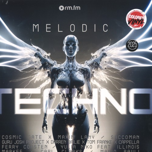 Various - Melodic Techno 2025 (Vinyl)