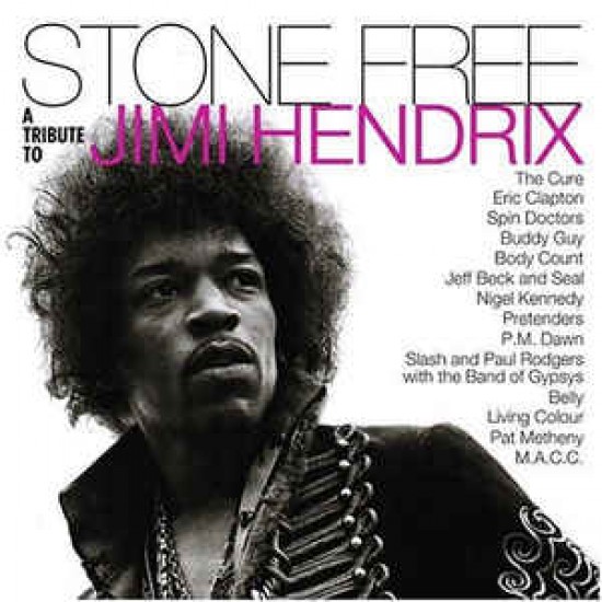 Various ‎– Stone Free (A Tribute To Jimi Hendrix) (Vinyl)