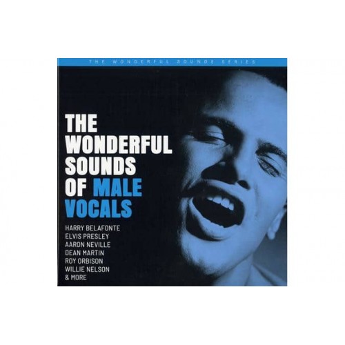 Various - The Wonderful Sounds Of Male Vocals (CD)