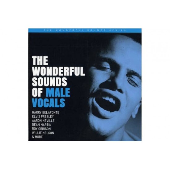 Various - The Wonderful Sounds Of Male Vocals (CD)