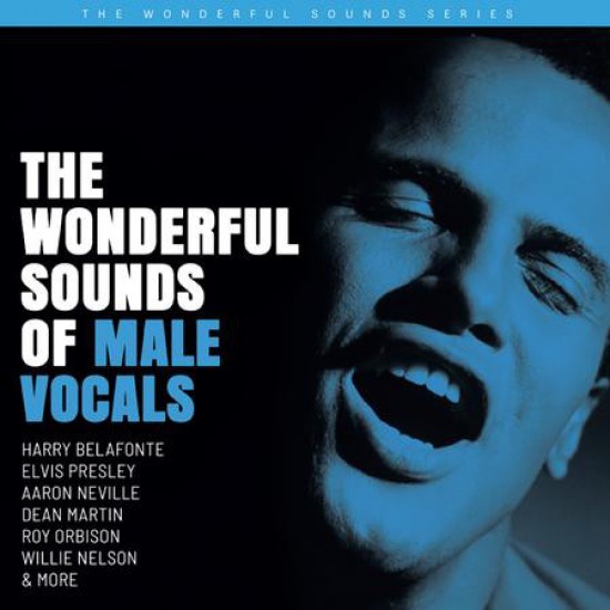 Various ‎– The Wonderful Sounds Of Male Vocals (Vinyl)