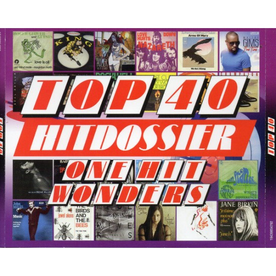 Various - Top 40 Hitdossier One Hit Wonders (CD)