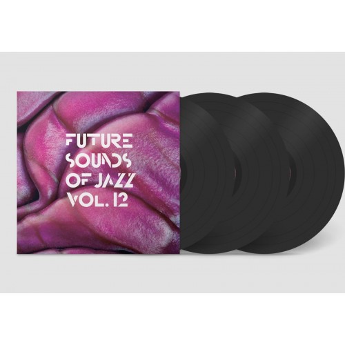 Various – Future Sounds Of Jazz Vol. 12 (Vinyl)