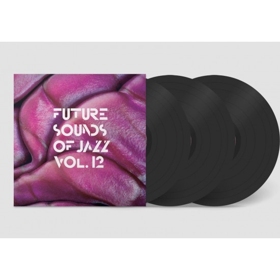 Various – Future Sounds Of Jazz Vol. 12 (Vinyl)